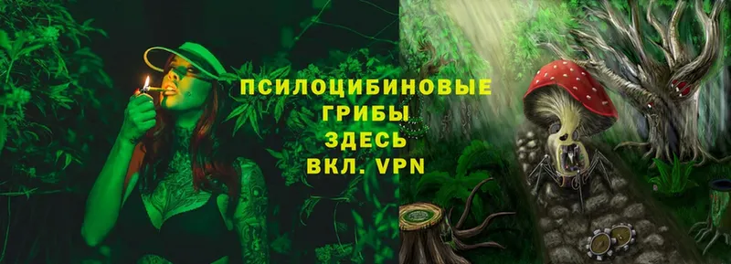 МЕГА ONION  Бугуруслан  Псилоцибиновые грибы Psilocybine cubensis 